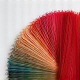 Nuancier de colorations capillaires